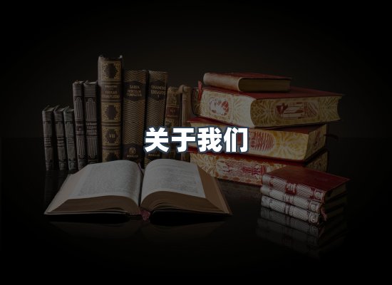 专业团队